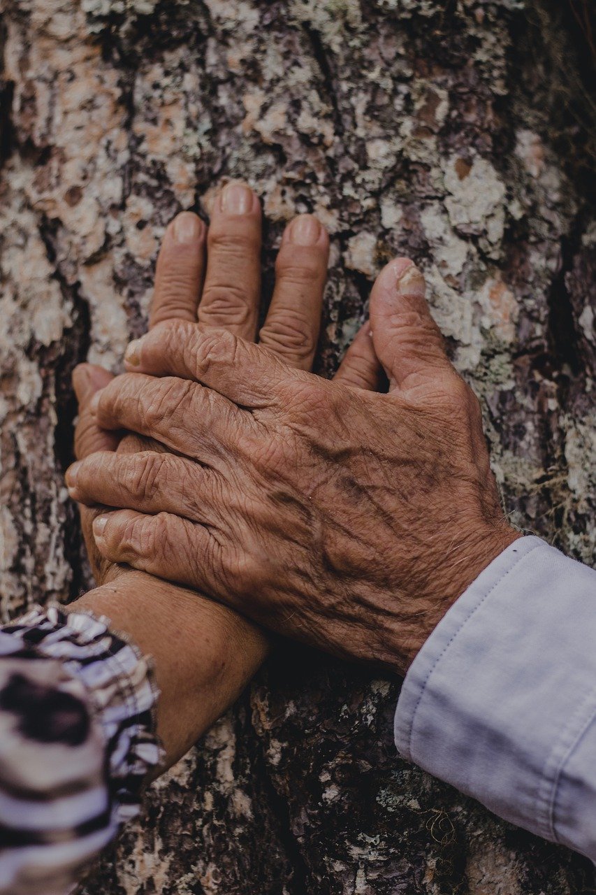 découvrez la beauté de l'amour inconditionnel, un lien puissant et sincère qui traverse les épreuves et transcende les attentes. explorez les différentes facettes de cet amour pur, qu'il soit entre amis, famille ou partenaires, et apprenez comment cultiver cette connexion unique dans votre vie.