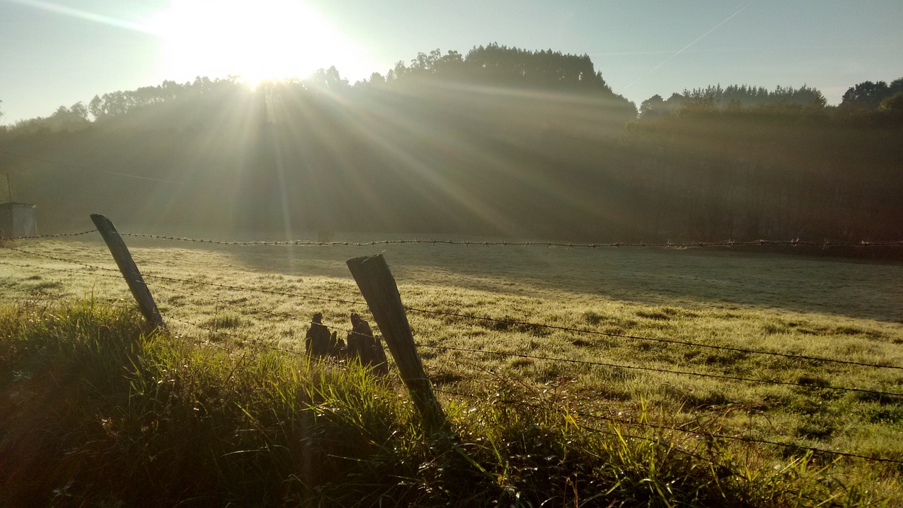 découvrez la puissance de la gratitude : un voyage vers le bien-être, la sérénité et des relations enrichissantes. apprenez à cultiver la reconnaissance au quotidien pour transformer votre perspective de vie.