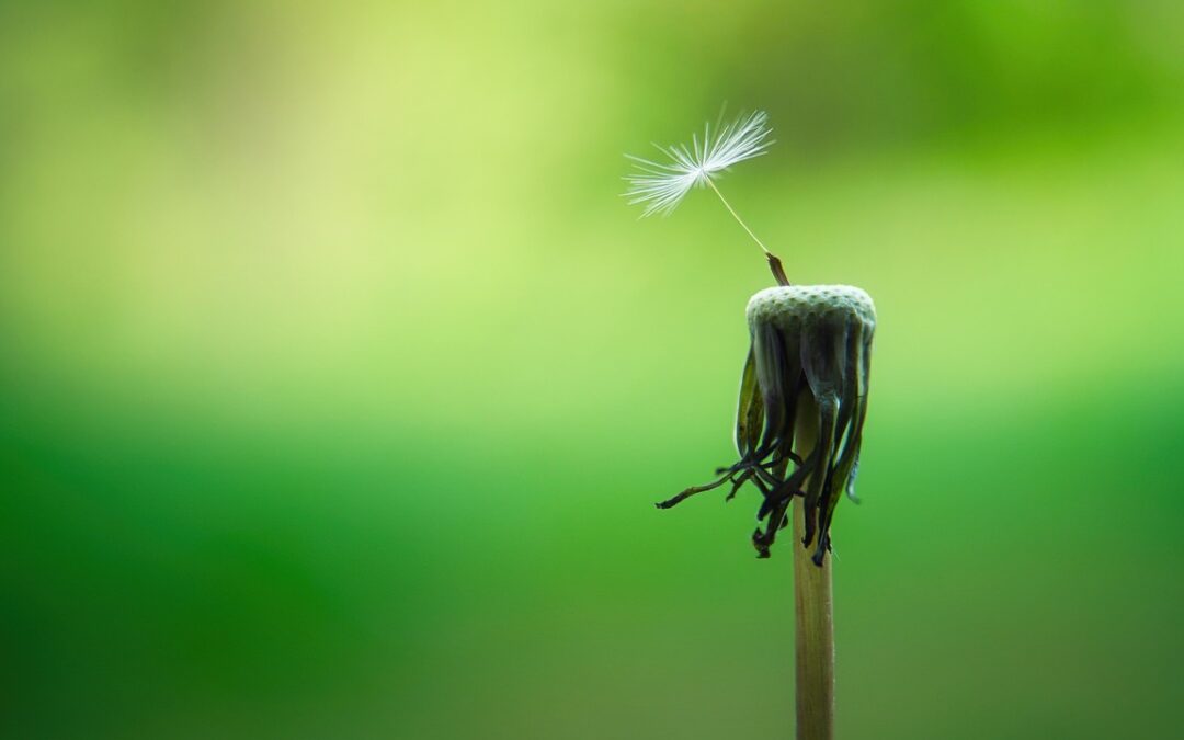 Comment vivre le moment présent : 8 exercices qui changent tout