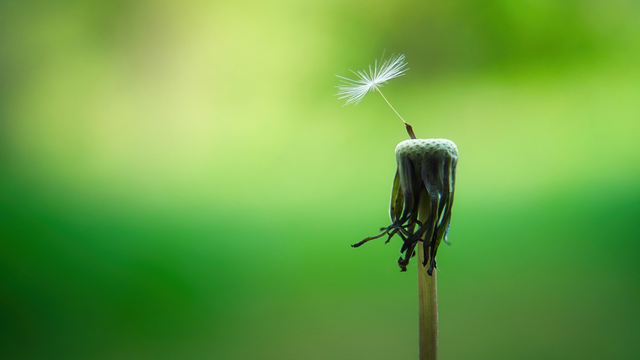 découvrez la pleine conscience (mindfulness) et ses bienfaits pour votre bien-être mental et émotionnel. apprenez des techniques simples pour vivre l'instant présent, réduire le stress et améliorer votre concentration au quotidien.