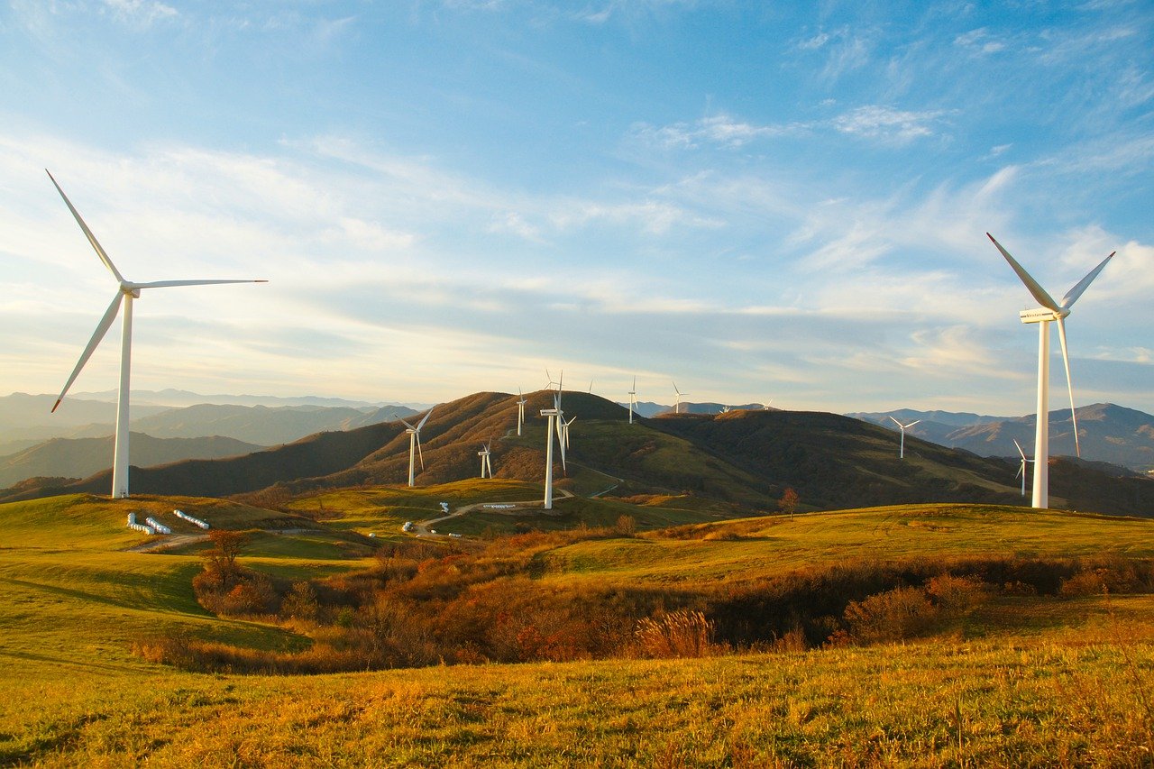 découvrez les enjeux environnementaux actuels, des solutions durables et des initiatives écologiques pour préserver notre planète. engagez-vous pour un avenir plus vert et apprenez comment vous pouvez faire la différence.