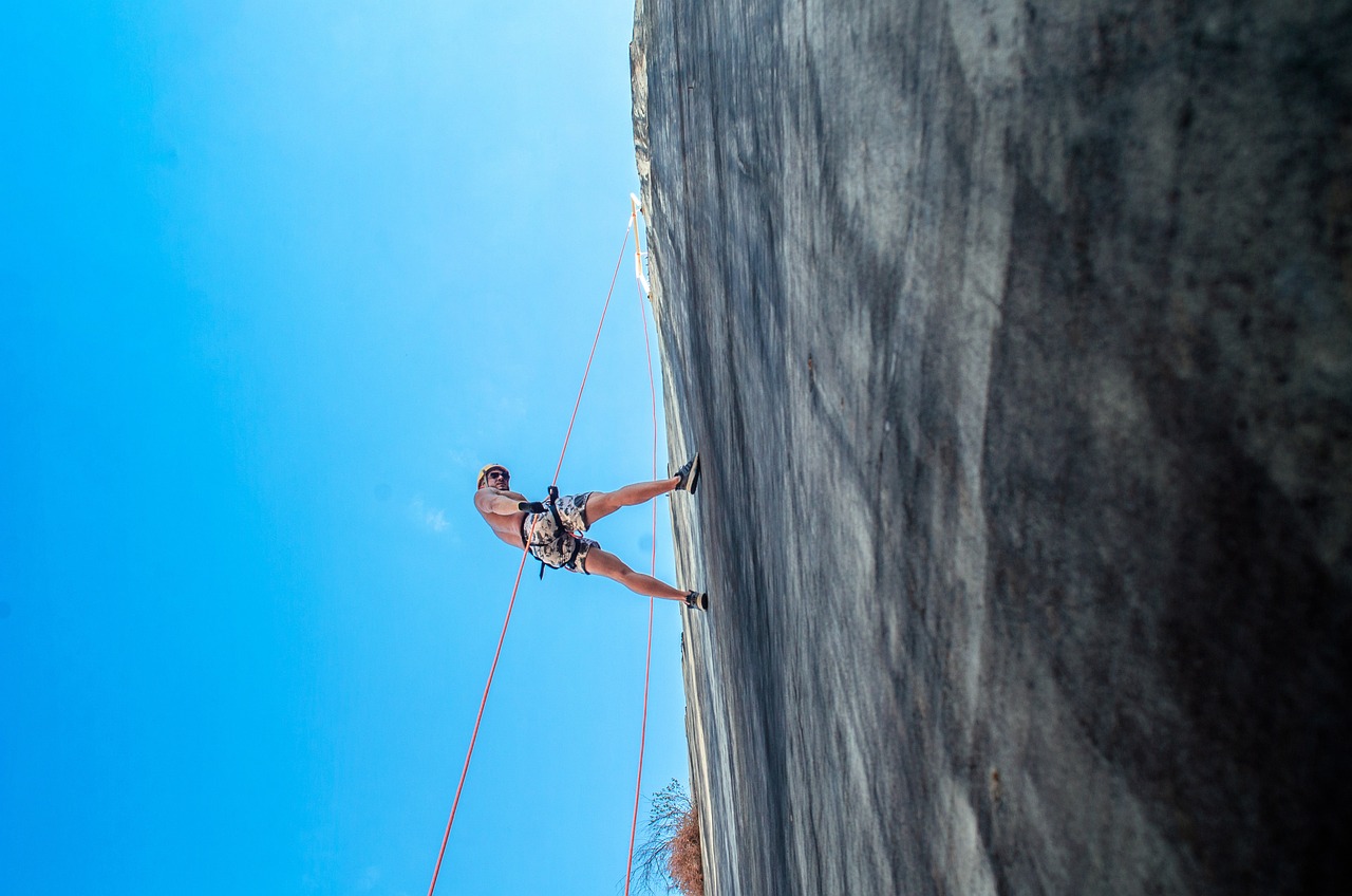 découvrez comment la résilience peut transformer votre vie. apprenez à surmonter les obstacles, à développer votre force intérieure et à faire face aux défis avec optimisme et détermination.