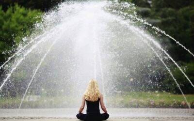 Méditer jour après jour : 25 leçons pour apprendre à vivre en pleine conscience