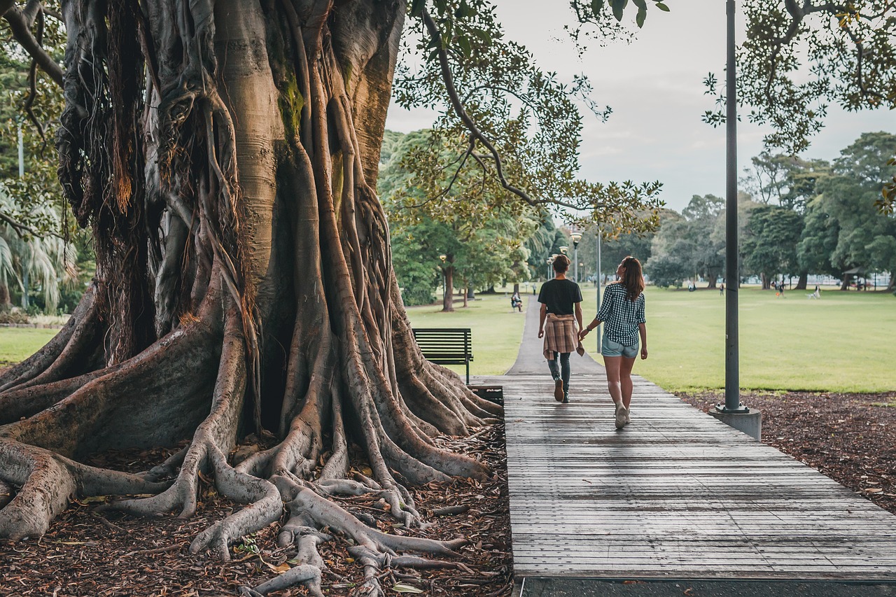 explorez le chemin de la découverte de soi pour mieux comprendre vos émotions, vos motivations et vos aspirations. apprenez à vous connaître en profondeur et à embrasser votre véritable potentiel.