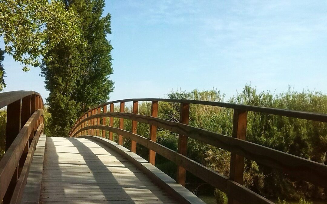 Libérez votre créativité d&rsquo;entrepreneur