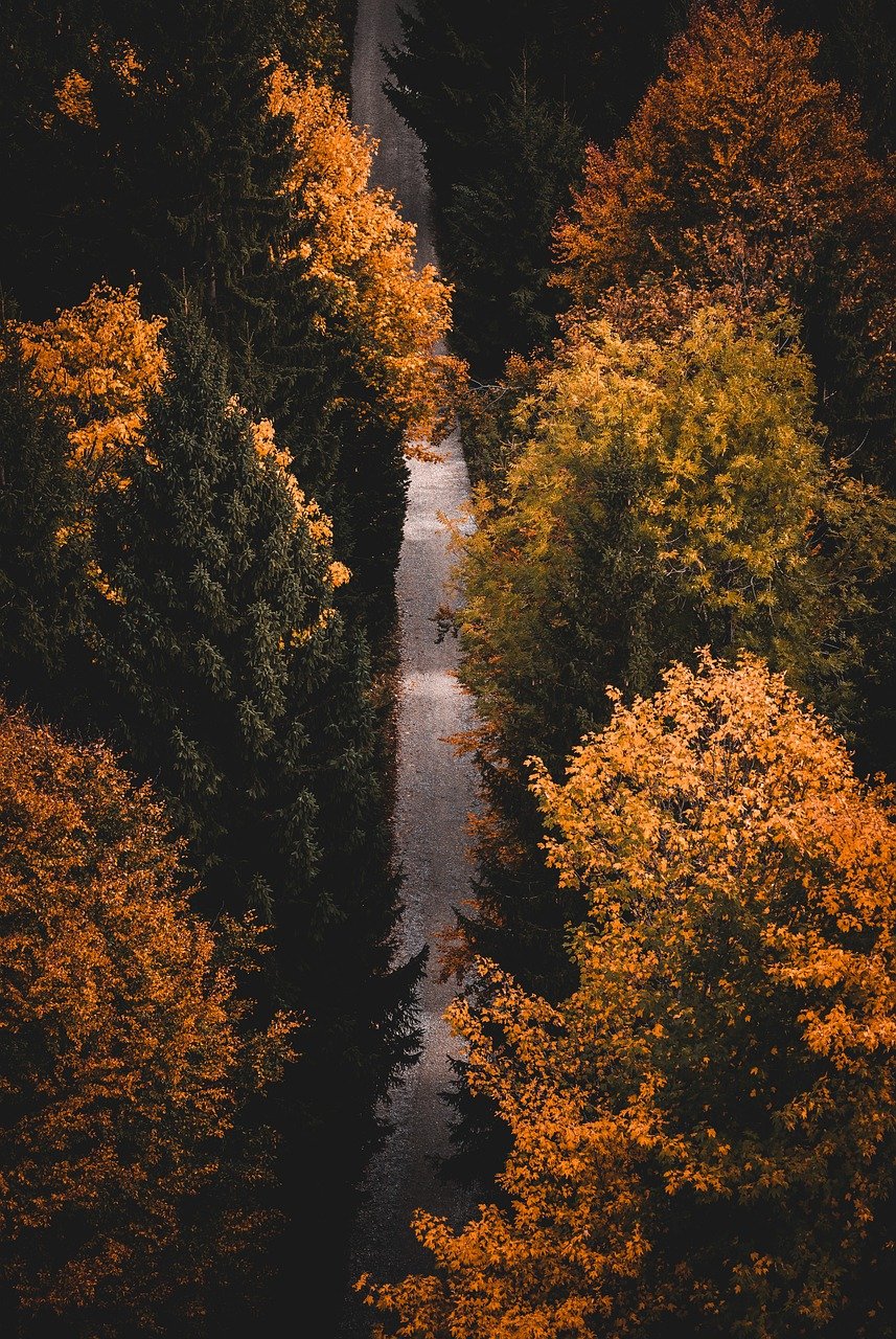 découvrez l'art de la pleine conscience avec notre guide sur la mindfulness. apprenez des techniques simples pour réduire le stress, améliorer votre bien-être mental et vivre pleinement chaque instant. transformez votre quotidien avec des pratiques de méditation et de réflexions qui favorisent la sérénité et la concentration.