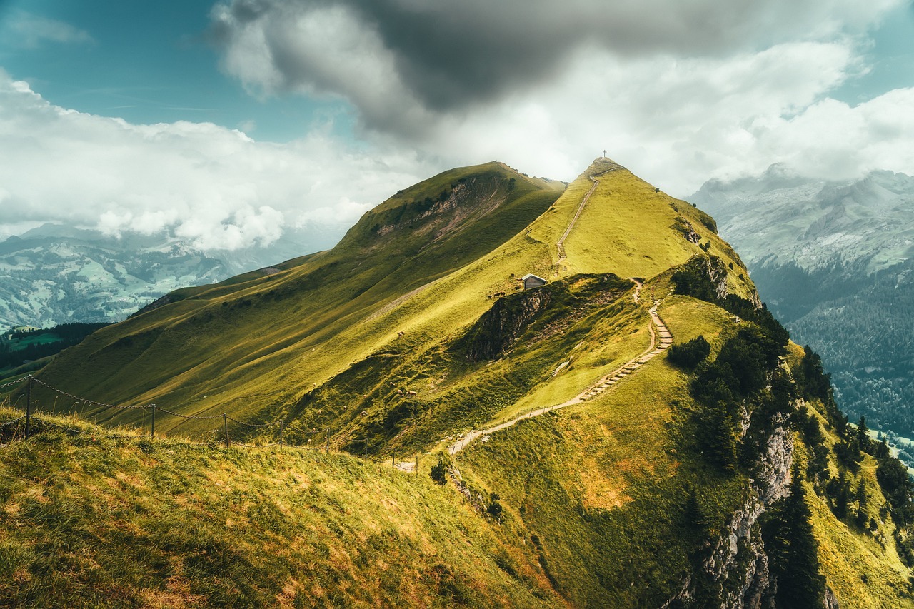 découvrez la beauté majestueuse des montagnes, un véritable havre de paix pour les amoureux de la nature. randonnées, paysages à couper le souffle et expériences inoubliables vous attendent dans ces élévations extraordinaires.