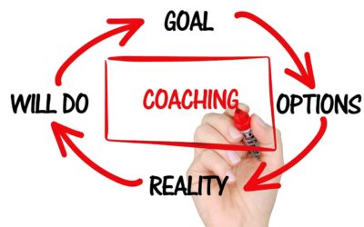 Le coach prospère : boostez vos revenus et votre impact