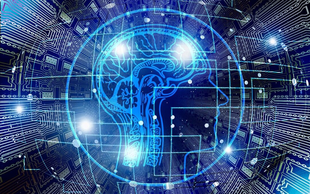 Les 8 intelligences : quelle est votre forme d’intelligence principale ?