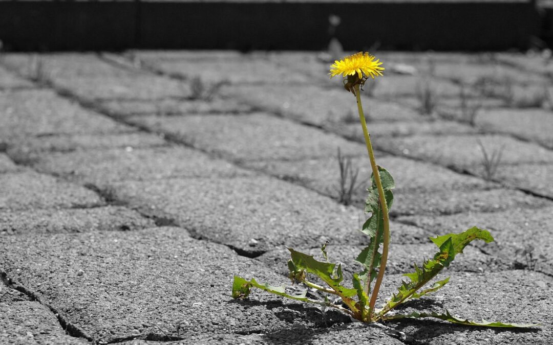 Prendre la parole : 6 étapes pour oser se dire et ne plus se taire