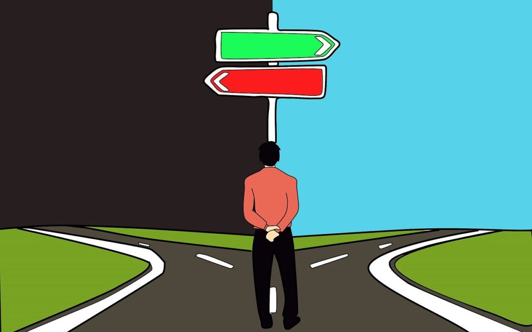 Choisir sa vie : 101 conseils pour saisir sa chance