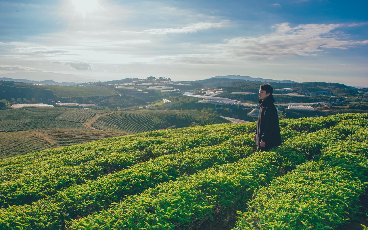 découvrez des stratégies efficaces pour surmonter les obstacles de la vie. apprenez à développer votre résilience, à gérer le stress et à transformer les défis en opportunités pour un avenir meilleur.