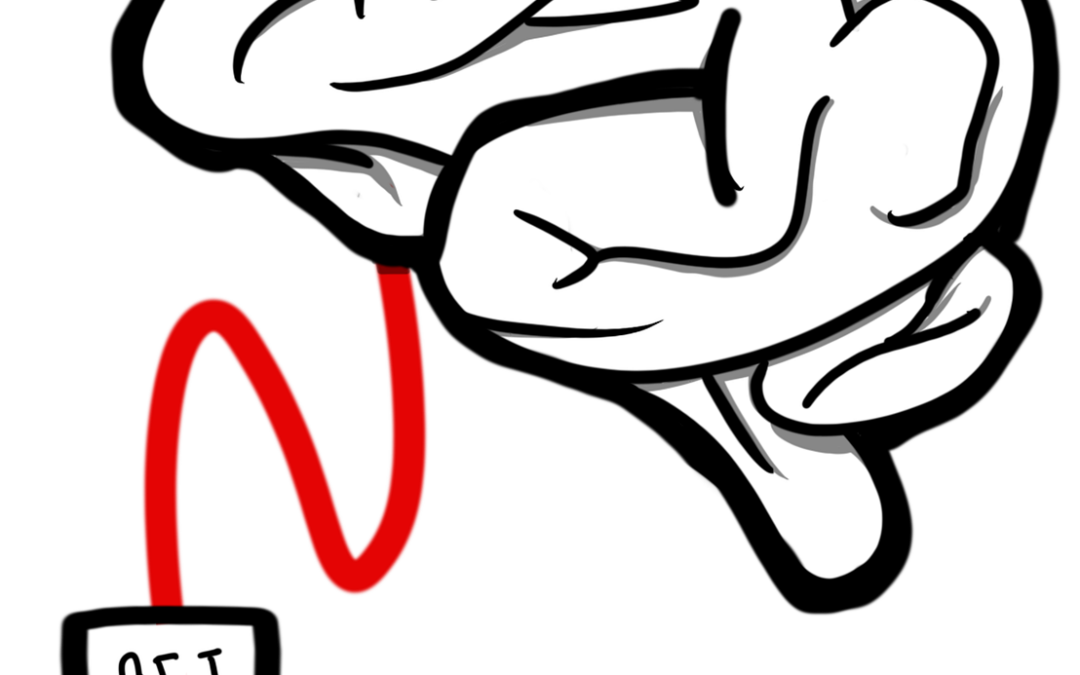 Le cerveau de cristal : ce que la neuro-science nous apprend