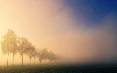 Pas envie de se lever le matin : 4 conseils puissants