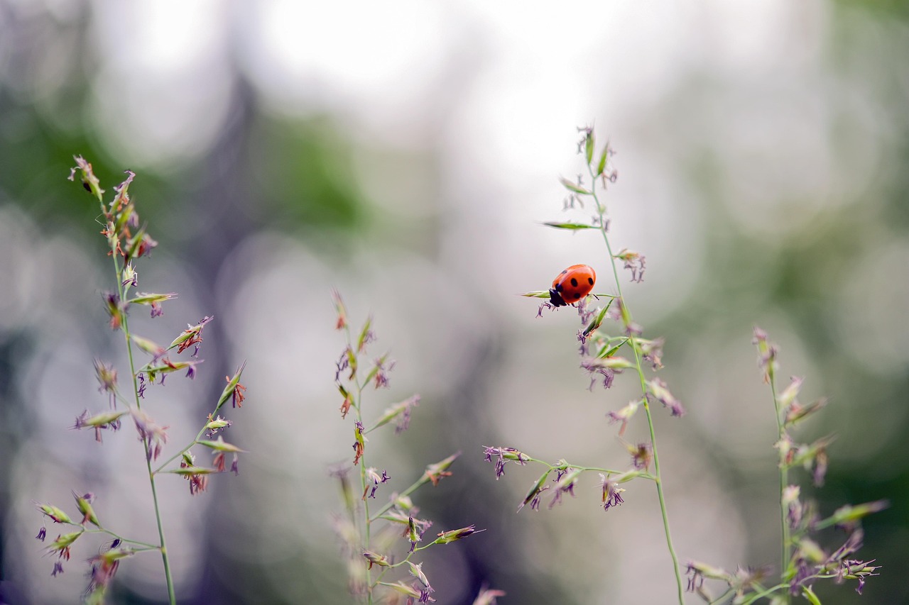 découvrez le chemin vers le bonheur avec des conseils pratiques, des astuces inspirantes et des réflexions sur la joie de vivre. apprenez à cultiver une attitude positive et à profiter des petites choses de la vie pour atteindre un épanouissement personnel durable.