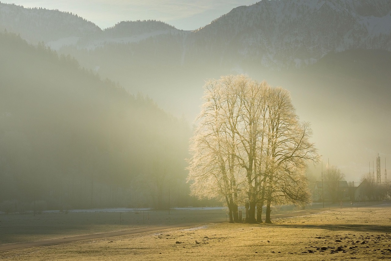 découvrez comment bien commencer votre journée avec des conseils sur les routines matinales, les habitudes saines et des idées inspirantes pour un matin efficace et revitalisant.