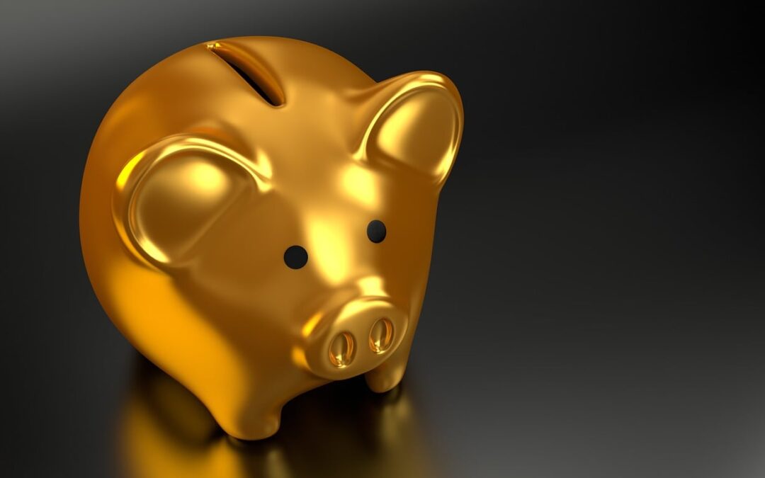 Agir pour apprendre, gagner plus, investir et réussir