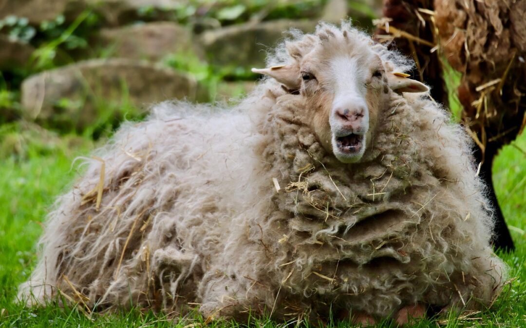 Arrêter de ruminer les mauvais souvenirs : 6 choses à abandonner