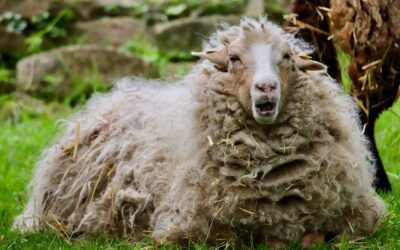 Arrêter de ruminer les mauvais souvenirs : 6 choses à abandonner