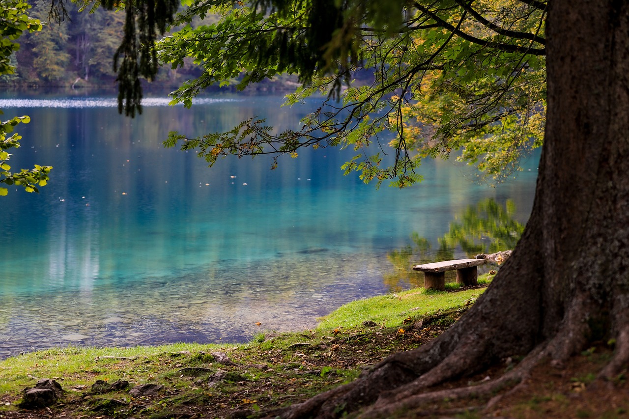 découvrez la paix intérieure avec serenity, un espace dédié à la relaxation et au bien-être. plongez dans un univers apaisant qui vous permettra de vous ressourcer et de trouver l'équilibre dans votre vie quotidienne.