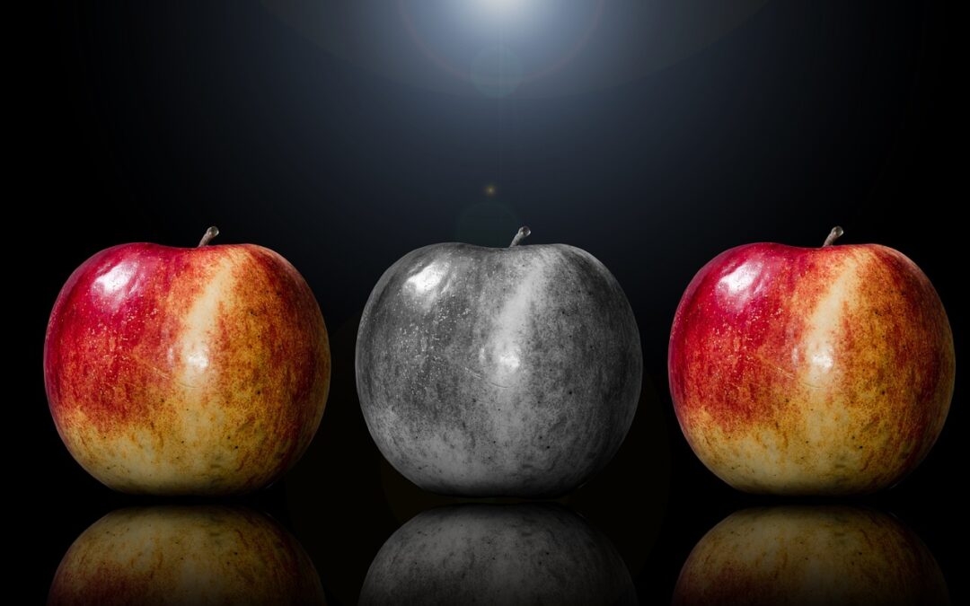 Unique : et si la clé du monde de demain, c’était nous ?