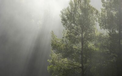 Je suis tout le temps sur les nerfs : 4 étapes pour se calmer