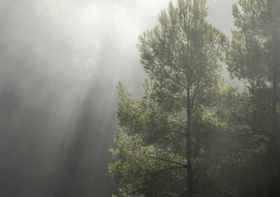 Je suis tout le temps sur les nerfs : 4 étapes pour se calmer