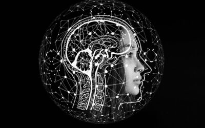 citations sur l’intelligence pour en saisir les nuances