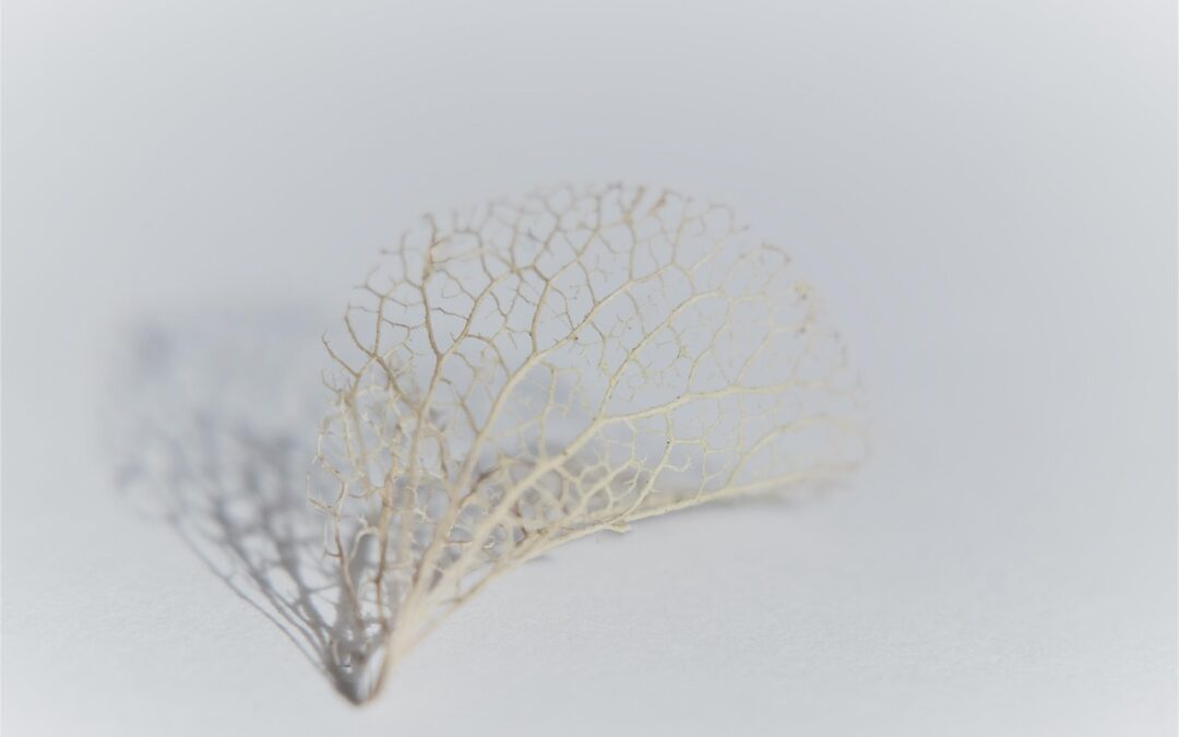 Se libérer de l’emprise émotionnelle