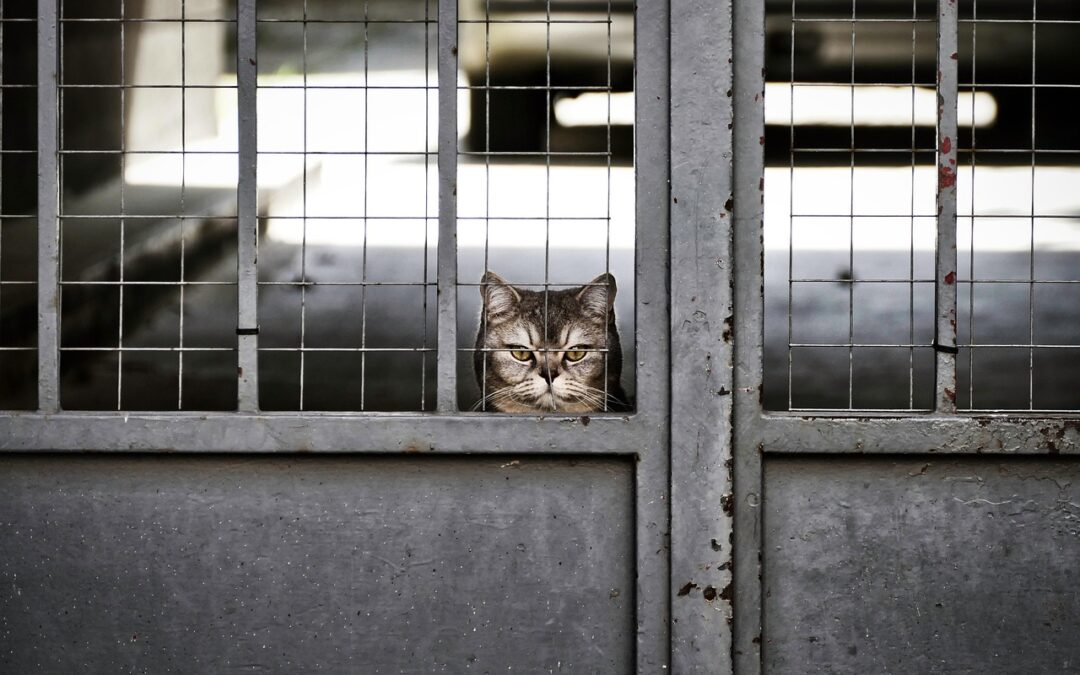 Que faire quand on s&rsquo;ennuie à la maison, seul ou à deux ? 50 idées