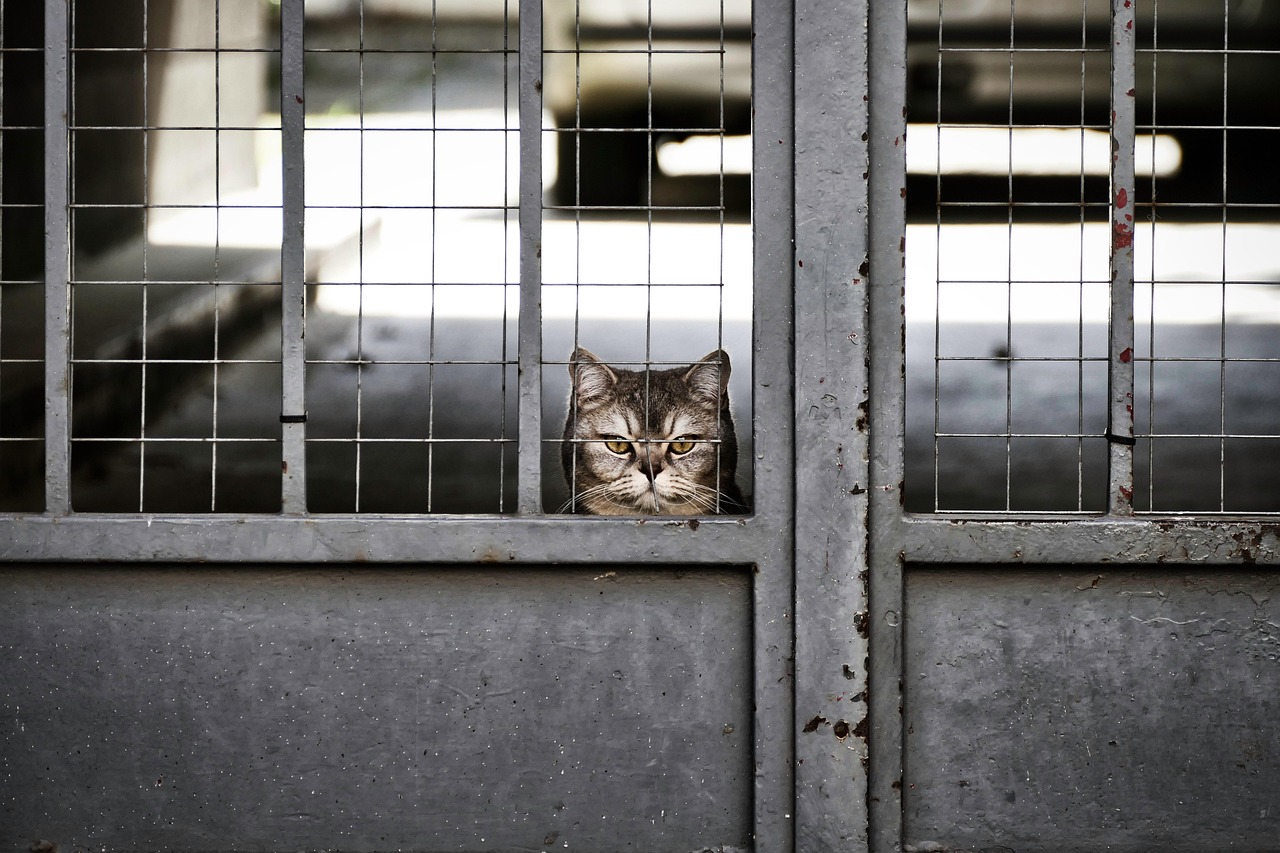 découvrez comment la boredom peut se transformer en opportunité créative. apprenez des techniques pour surmonter l'ennui et stimuler votre imagination grâce à des activités engageantes et enrichissantes.