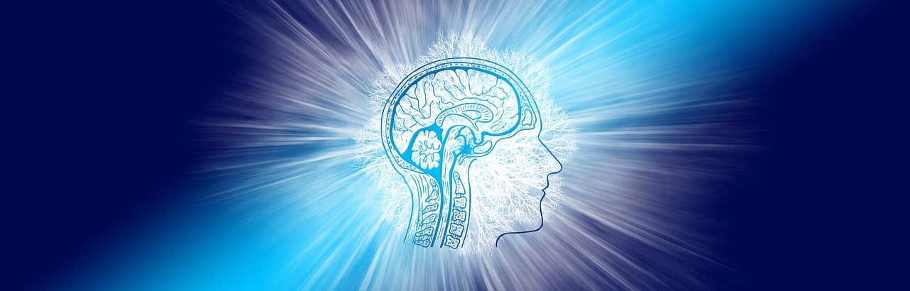 découvrez l'univers fascinant du cerveau humain : son fonctionnement, ses mystères et son rôle essentiel dans nos pensées, émotions et comportements.