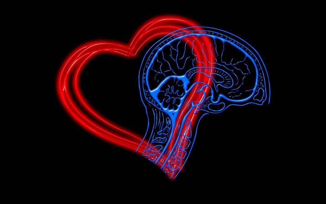 L’intelligence émotionnelle : comprendre et maîtriser ses émotions