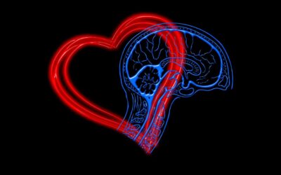 L’intelligence émotionnelle : comprendre et maîtriser ses émotions
