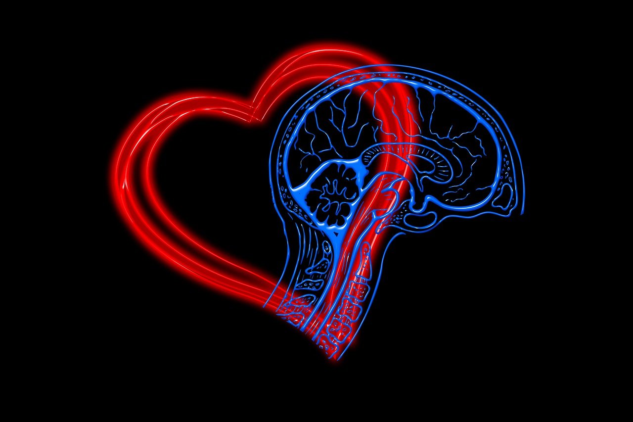 découvrez l'intelligence émotionnelle, une compétence essentielle pour améliorer vos relations personnelles et professionnelles. apprenez à gérer vos émotions et à comprendre celles des autres pour favoriser un environnement harmonieux et productif.