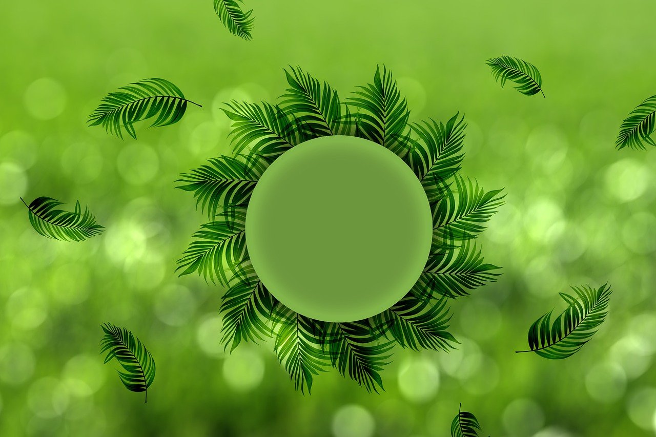 découvrez l'art de lâcher prise avec notre guide sur le sujet. apprenez à vous libérer des pensées négatives et des attachements émotionnels pour retrouver la paix intérieure et vivre pleinement chaque instant.