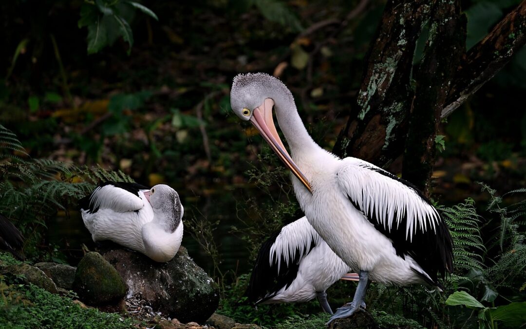 Maintenant ou jamais ! La vie commence vraiment après 40 ans.