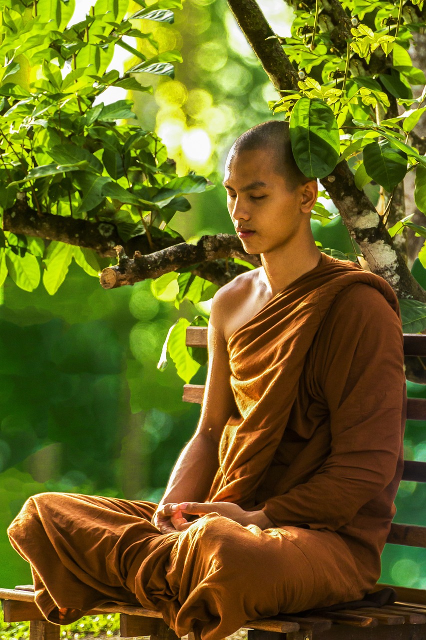 découvrez les bienfaits de la méditation pour apaiser votre esprit, réduire le stress et améliorer votre bien-être. apprenez des techniques simples et accessibles pour intégrer la méditation dans votre quotidien.
