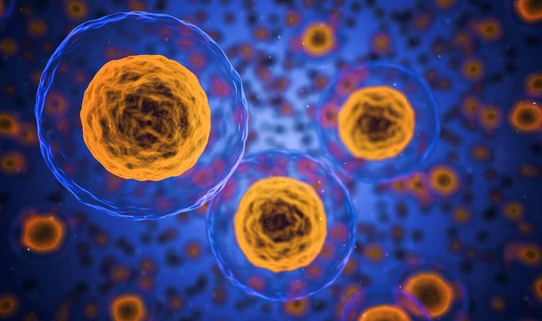 La publicité scientifique : enjeux et perspectives
