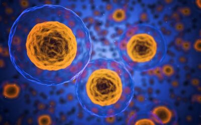 La publicité scientifique : enjeux et perspectives