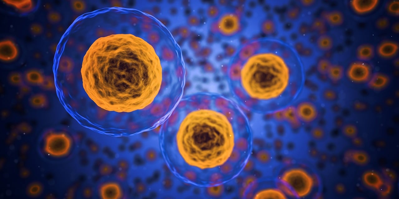 découvrez comment la publicité scientifique transforme le marketing moderne en utilisant des données et des stratégies éprouvées pour optimiser votre impact. apprenez les principes fondamentaux et les techniques pour capter l'attention de votre audience et maximiser vos conversions.