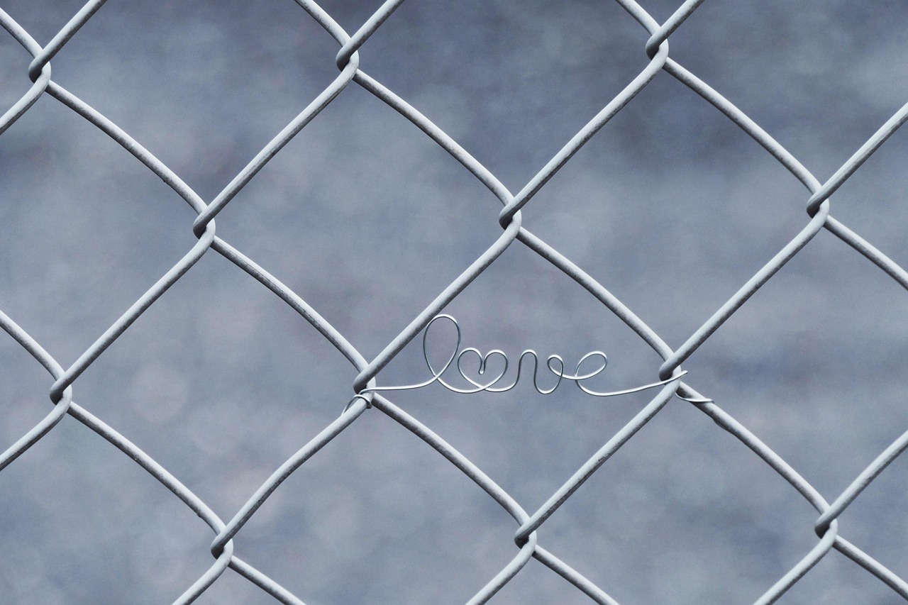 découvrez l'essence de l'amour à travers des histoires touchantes, des conseils et des réflexions inspirantes. plongez dans un univers où les émotions se mêlent aux passions et explorez les multiples facettes de cette belle connexion humaine.