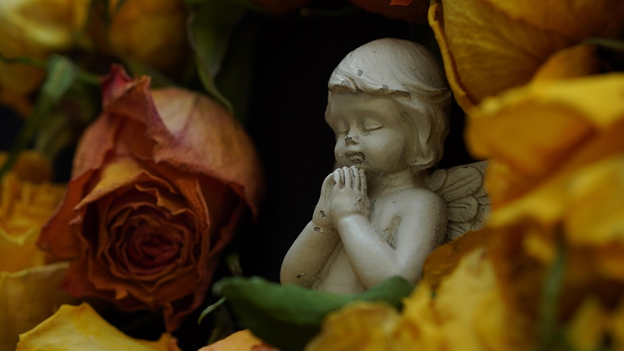 découvrez l'essence de l'amour à travers des réflexions poétiques, des histoires touchantes et des conseils pour cultiver des relations sincères et durables. plongez dans l'univers fascinant de l'amour et laissez-vous inspirer par ses multiples facettes.