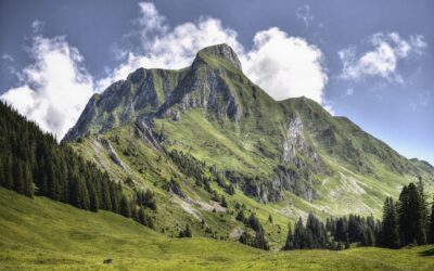 Comment trouver et atteindre ses objectifs de vie : le guide complet