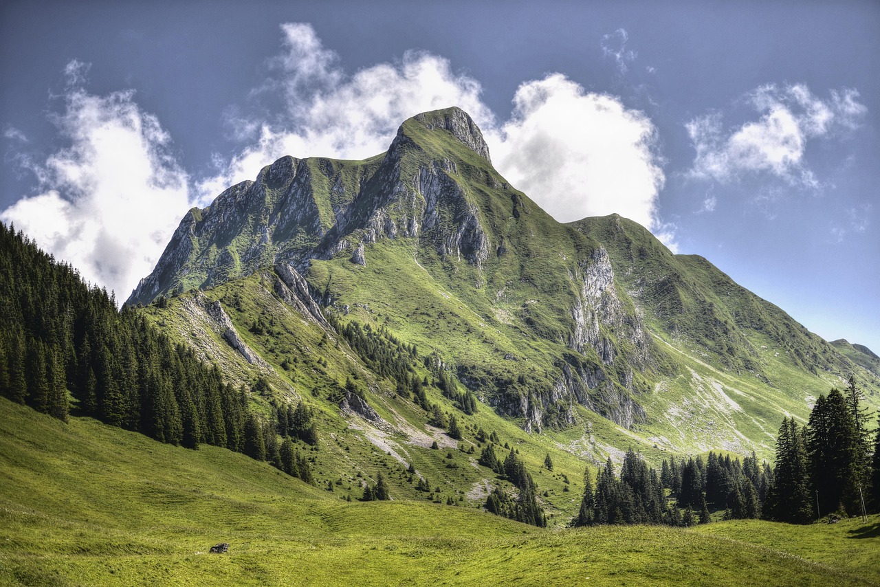 découvrez des stratégies efficaces et inspirantes pour définir et atteindre vos objectifs de vie. transformez vos rêves en réalité et vivez une existence épanouissante grâce à nos conseils pratiques et motivants.